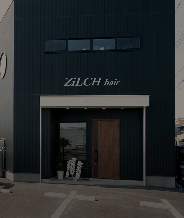 ZiLCH hair